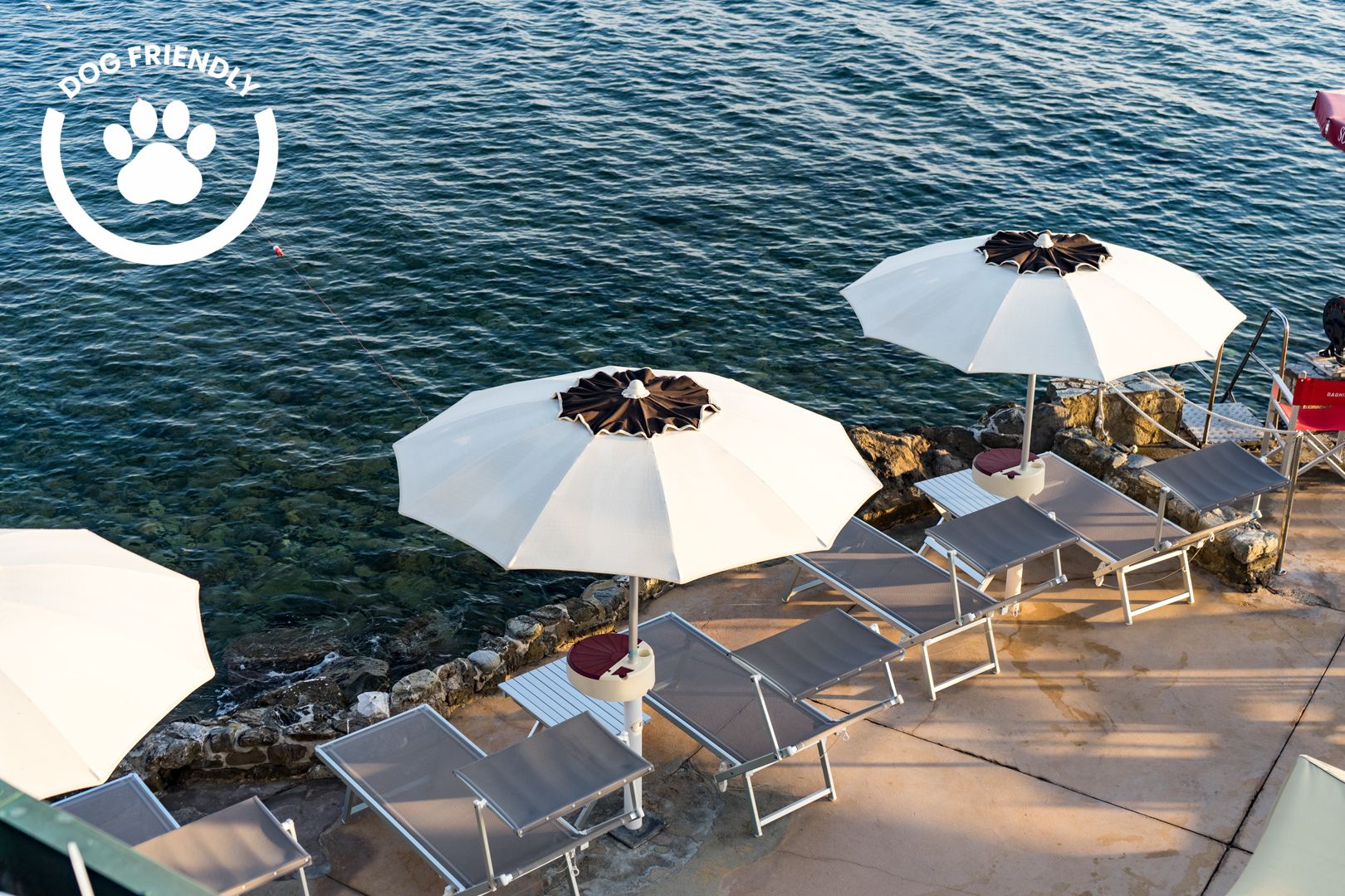 Progetto senza titolo (62)